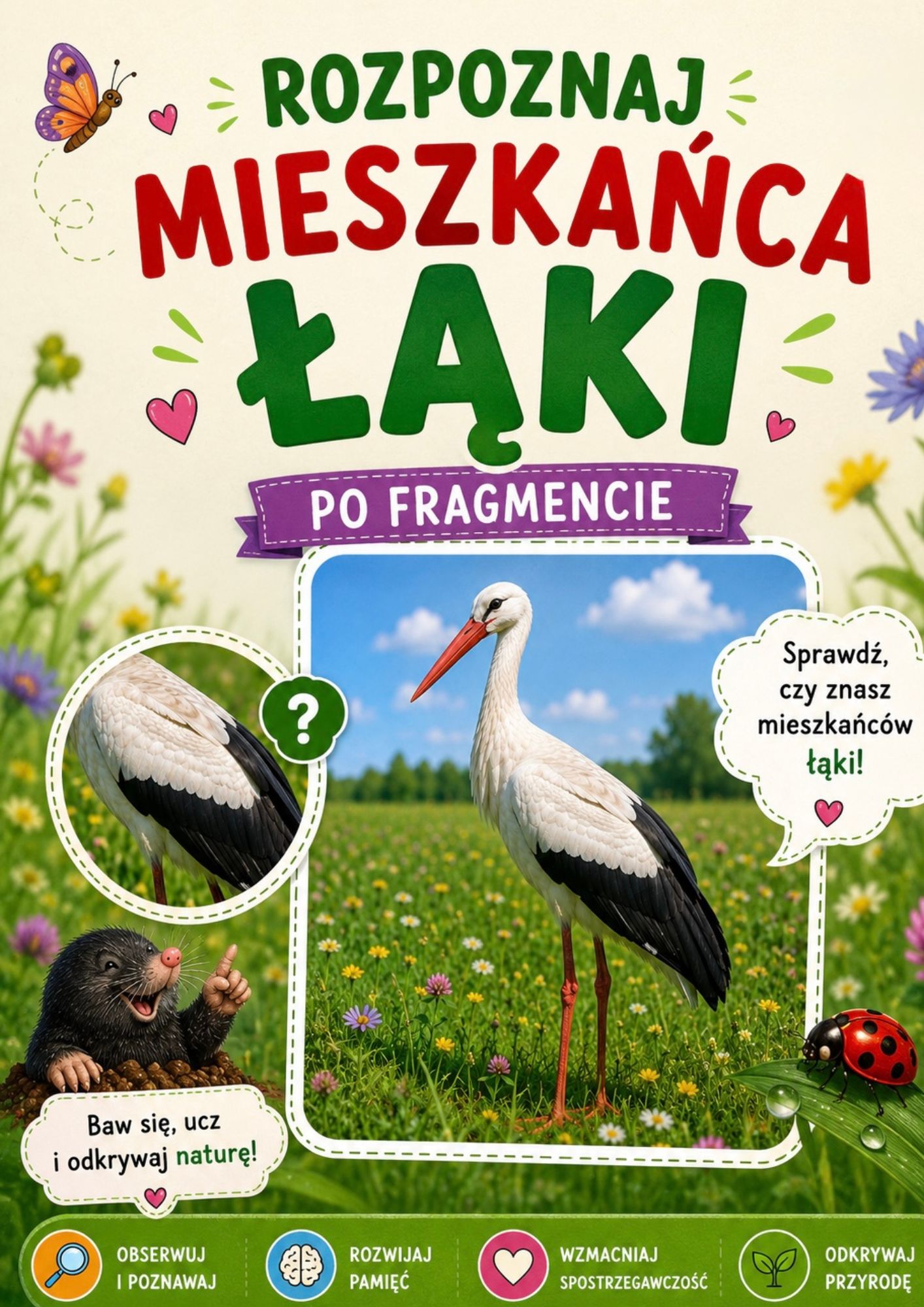 prowokuj 12