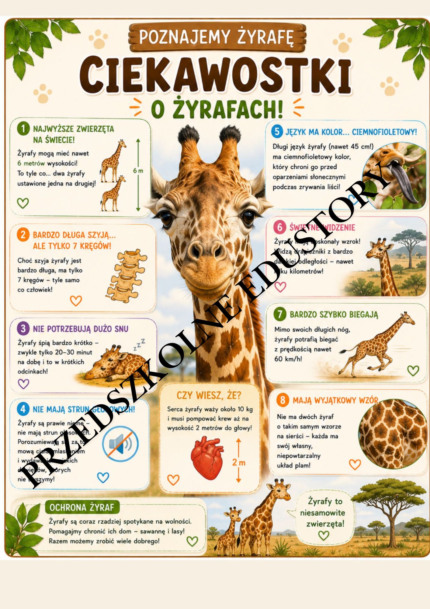 przedszkolne edustory 3